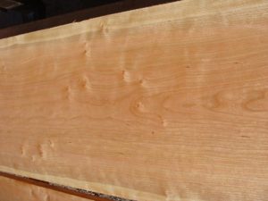 cats paw cherry, wide cats paw cherry, wooden tops