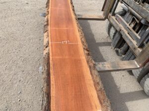 cherry live edge slab