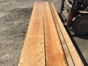 curly cherry lumber, premium lumber, high quality curly cherry