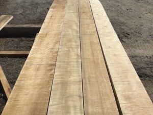 tiger maple grade lumber, high quality, premium lumber, furniture stock