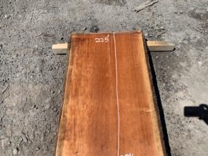 live edge cherry, cherry slab, cherry tabletop, premium lumber