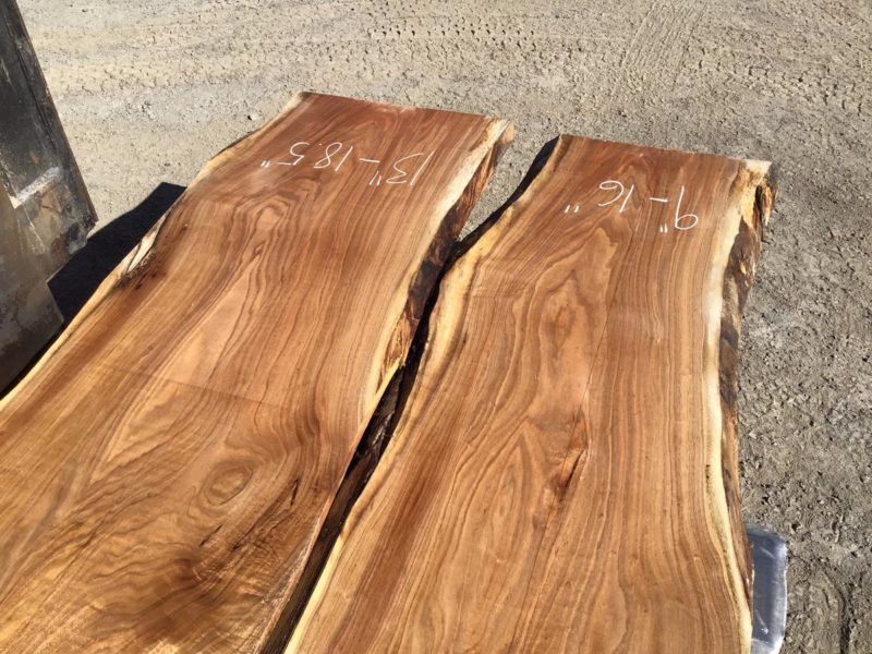Live Edge Butternut set 24420 4/4 3 pcs 810' Irion Lumber Company