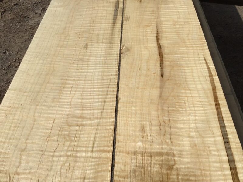 Ambrosia (Wormy) Maple Irion Lumber Company