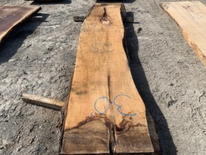 live edge ambrosia maple, hardwood tops, wooden tops