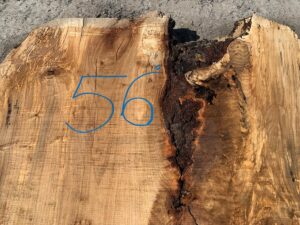 live edge spalted maple slab, wide live edge spalted maple, rustic spalted maple slab, hardwood lumber