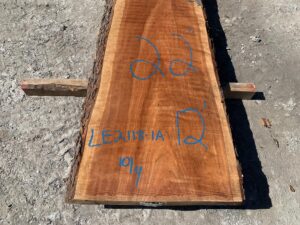 live edge curly cherry slab, hardwood tops, high quality lumber