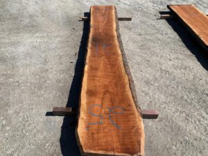 live edge curly cherry slab, hardwood tops, high quality lumber