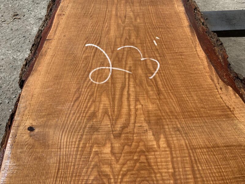 Live Edge White Oak Slab LE21501A 11/4 8.5' Irion Lumber Company