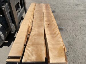 flame birch lumber, curly birch lumber, wooden tops, premium lumber
