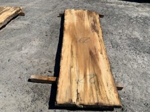 live edge spalted sycamore slab, rustic live edge slab, hardwood lumber