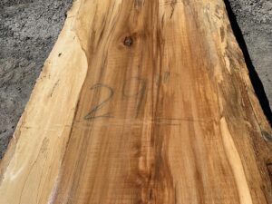 live edge spalted sycamore slab, rustic live edge slab, hardwood lumber