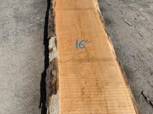 live edge curly maple slab, hardwood lumber, premium lumber