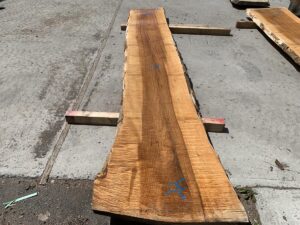live edge maple slab, hardwood lumber, premium lumber