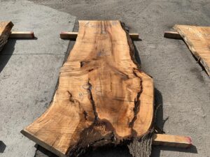 live edge maple slab, rustic maple slab, hardwood lumber