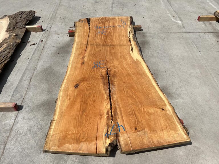 Honey Locust Slab LE22594B 10/4 7.5' Irion Lumber Company
