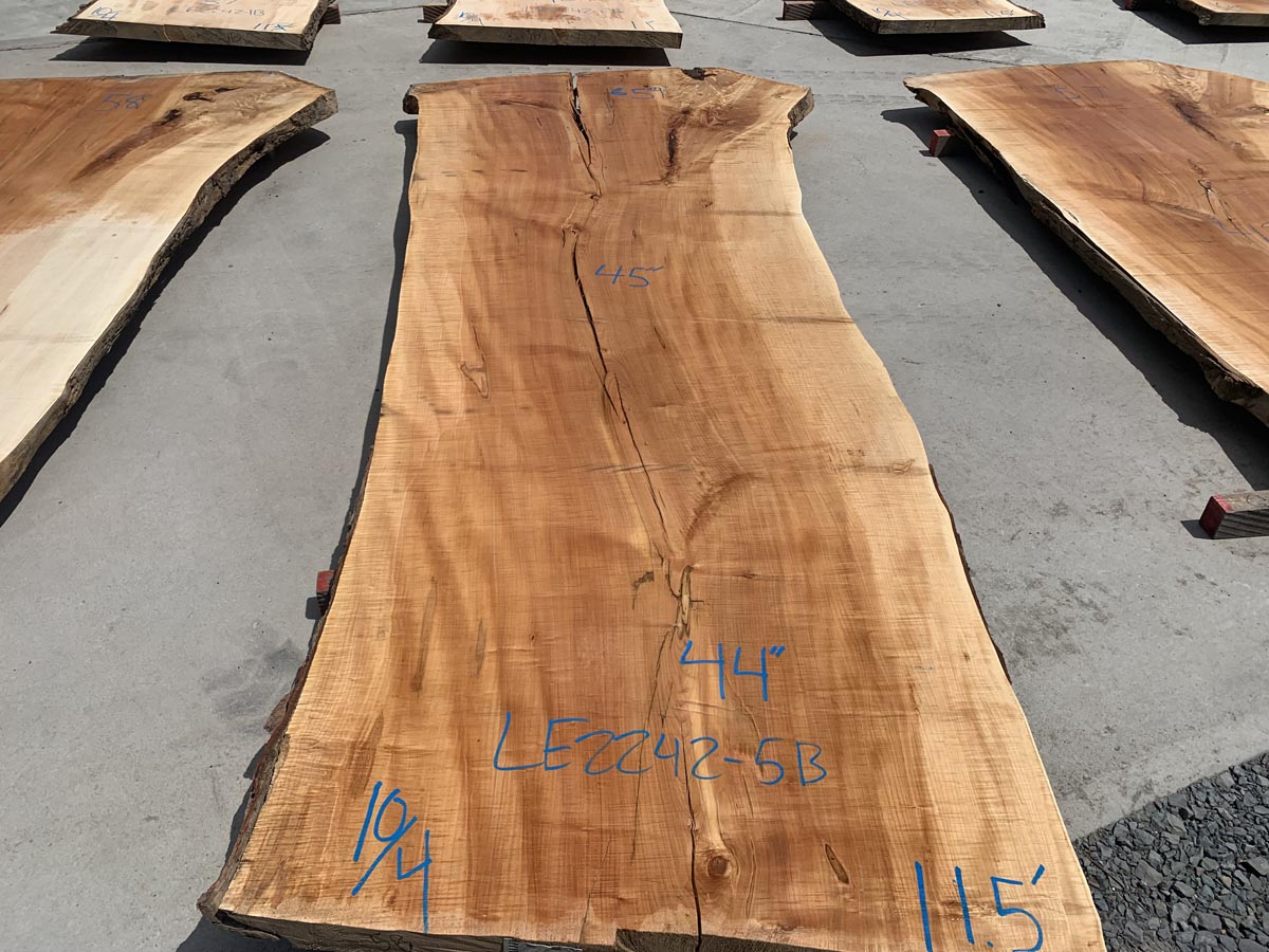 Live Edge Slabs Maple Hardwood Irion Lumber Company