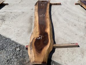 live edge walnut slab, premium lumber, unsteamed walnut