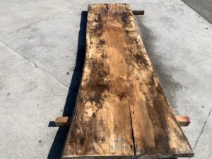 live edge spalted maple slab, rustic maple slab, bar tops