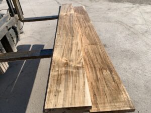 Premium Ambrosia Maple Turning Blank - 8" X 4" - Clean Figured Wood