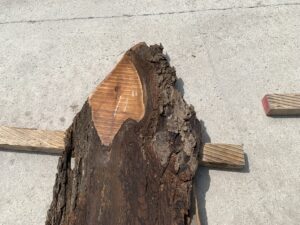 live edge walnut slab, walnut crotch, unsteamed walnut, rustic walnut slab