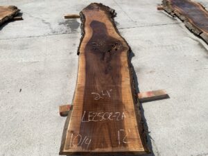 live edge walnut slab, walnut crotch, unsteamed walnut, rustic walnut slab