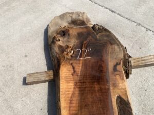 live edge walnut slab, rustic walnut slab, unsteamed walnut