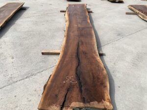 live edge walnut slab, rustic walnut slab, unsteamed walnut