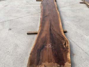 live edge walnut slab, rustic walnut slab, unsteamed walnut