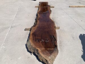 live edge walnut slab, unsteamed walnut, rustic walnut slab