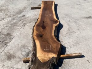 live edge walnut slab, unsteamed walnut, premium hardwood