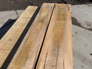 curly ambrosia maple lumber, rustic lumber, high quality curly ambrosia maple lumber