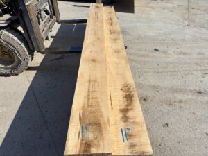 curly ambrosia maple lumber, premium lumber, high quality curly ambrosia maple