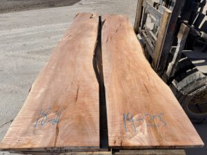wide curly ambrosia maple lumber, soft maple, premium curly maple