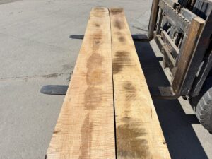 tiger maple lumber, premium lumber, high quality tiger maple