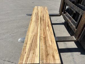 ambrosia maple lumber, rustic lumber, premium ambrosia maple lumber