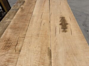 curly ambrosia maple lumber, rustic maple lumber, premium curly ambrosia maple