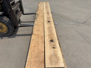 tiger maple lumber, premium curly maple, high quality tiger maple