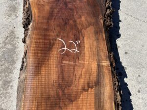 live edge walnut slab, unsteamed walnut, rustic walnut slab, premium hardwood
