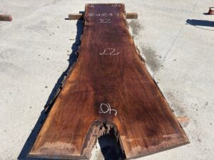 live edge walnut slab, unsteamed walnut, rustic walnut slab, premium hardwood