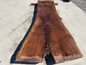 live edge walnut slab, unsteamed walnut, rustic walnut slab, premium hardwood