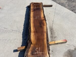 live edge walnut slab, hardwood lumber, unsteamed walnut, premium lumber