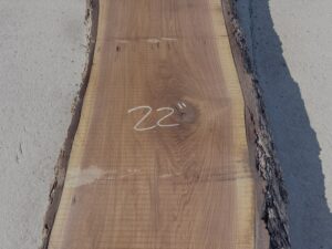 live edge walnut slab, hardwood lumber, unsteamed walnut, premium slabs