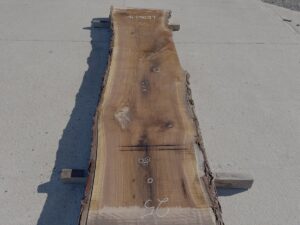 live edge walnut slab, hardwood lumber, unsteamed walnut, premium slabs