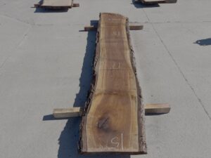 live edge walnut slab, high quality lumber, unsteamed walnut, bar tops